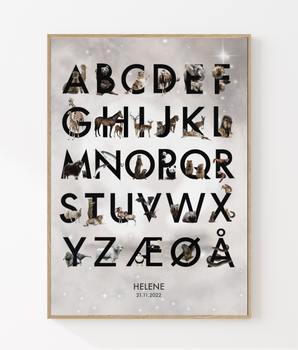 The alphabet - Personal poster