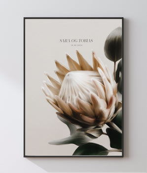 Beige Protea blomst - personlig plakat