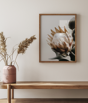 Beige Protea Blomst