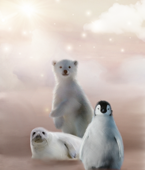 Polar A4 poster