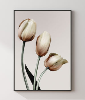 Tulipaner & Beige Protea