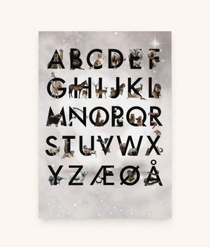 The alphabet