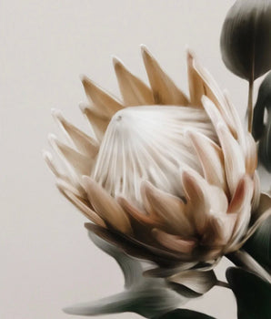 Beige Protea Blomst – kunstplakat uten ramme