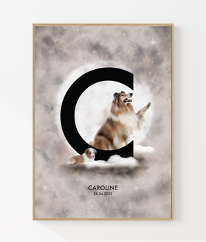 The letter C - Personal poster