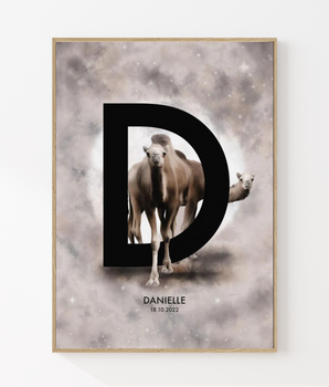 The letter D - Personal poster
