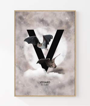 The letter V - Personal poster