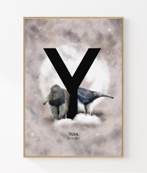 The letter Y - Personal poster