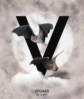 Bokstaven V - Personlig plakat – kunstplakat uten ramme