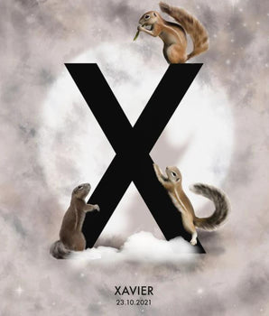 Bokstaven X - Personlig plakat – kunstplakat uten ramme
