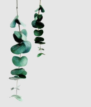 Eucalyptus 2nd – kunstplakat uten ramme