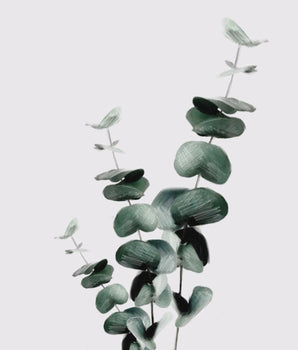 Eucalyptus Branch – kunstplakat uten ramme