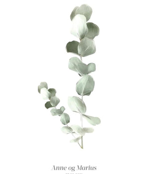 Eucalyptus - personlig plakat – kunstplakat uten ramme