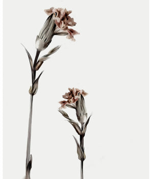 Feel – kunstplakat uten ramme