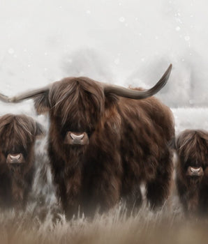 Highland Trio – kunstplakat uten ramme