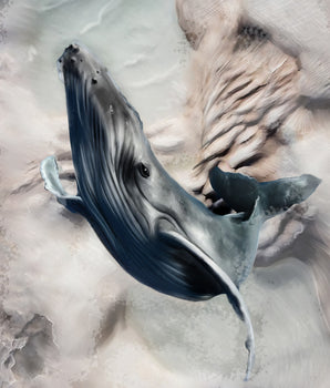 Hval – kunstplakat uten ramme