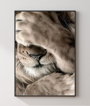 Leo 70x100cm (outlet)