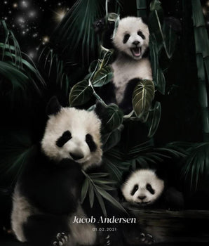 Panda Po - Personlig plakat – kunstplakat uten ramme
