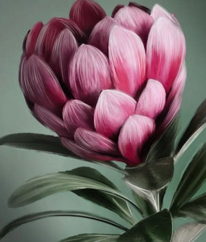 Pink Protea – kunstplakat uten ramme