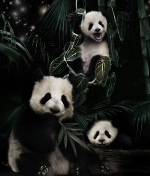 Po Panda – kunstplakat uten ramme