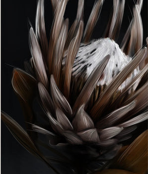 Protea 2.0 – kunstplakat uten ramme
