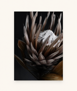 Protea 2.0