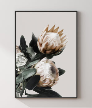 Protea blomster