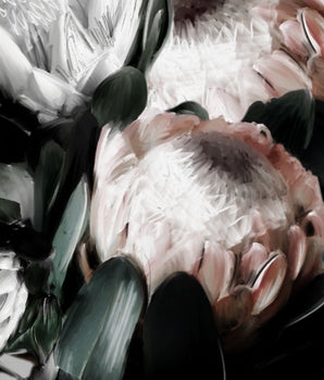 Protea close up – kunstplakat uten ramme