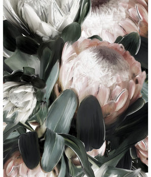 Protea – kunstplakat uten ramme