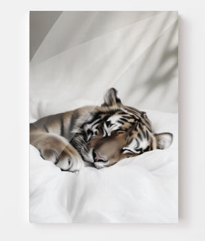 Teo 2nd  Edition - Lerret