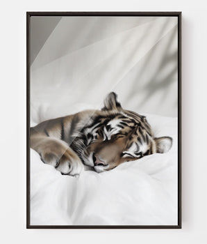 Teo 2nd  Edition - Lerret