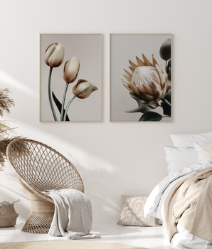Tulipaner & Beige Protea