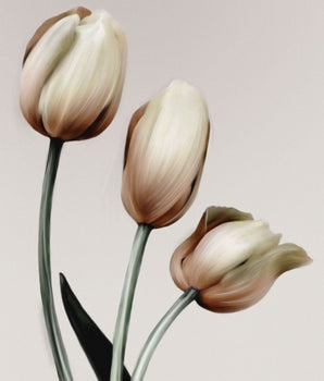 Tulipaner – kunstplakat uten ramme